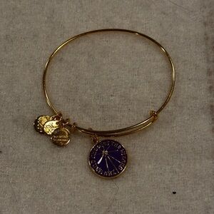 Alex and ani bangle bracelet